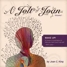 Jolt of Joan Book